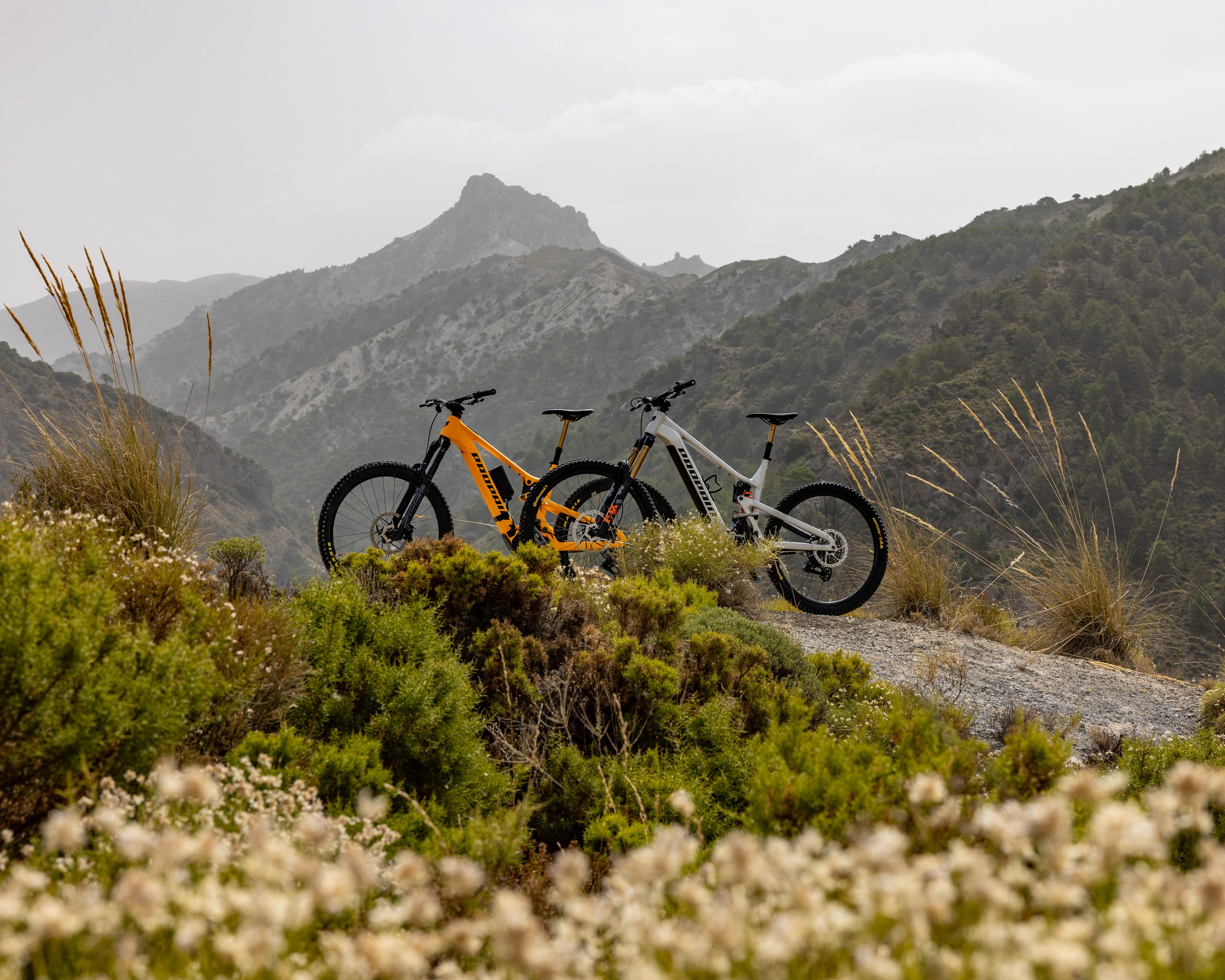 2025 Bikes in Sierras 2 - HI RES